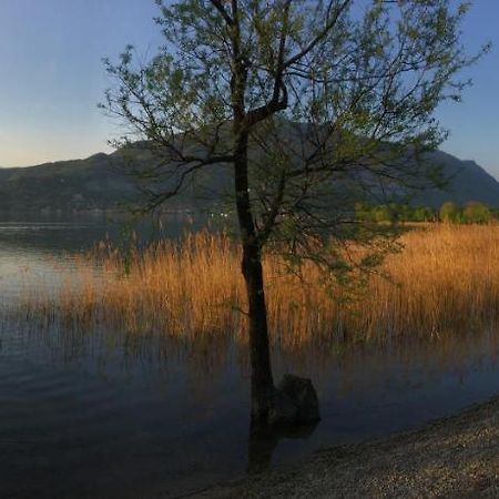 B&B Il Portico Del Conte Bosisio Parini Zewnętrze zdjęcie