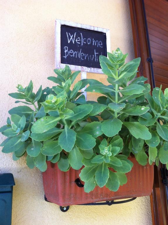 B&B Il Portico Del Conte Bosisio Parini Pokój zdjęcie